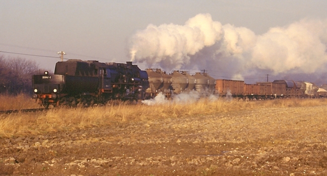 "Bild M.Schroeder 1985;